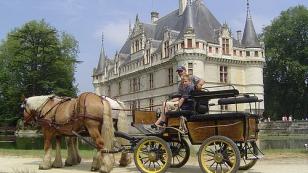 horse carriage near Chateau of Azay-le-Rideau