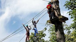 zip lining tree top adventures