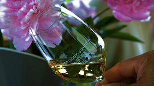 a glass of Vouvray wine